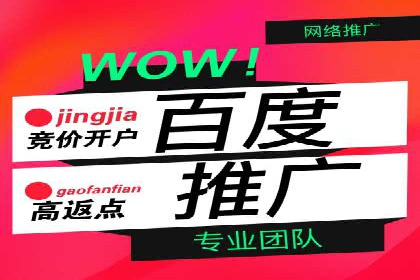 SEM推广公司成功案例：助力企业实现业绩持续增长